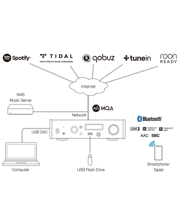 Lettore di rete con DAC USB e uscita cuffie  Teac NT-505-X  Nero