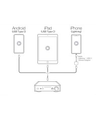 Amplificatore integrato Ncore compatto  Teac AI-303 USB DAC  Nero