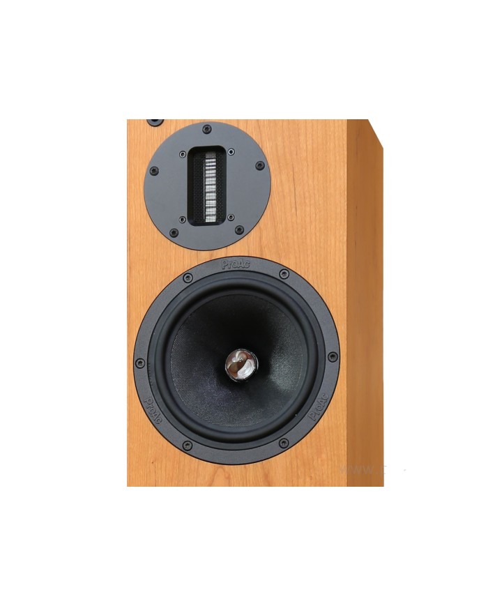 ProAc RESPONSE D 20R Coppia Diffusori da Pavimento Ciliegio