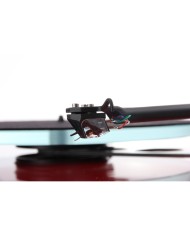 REGA ANIA  TESTINA REGA ANIA  FONORIVELATORE REGA ANIA PUNTINA REGA