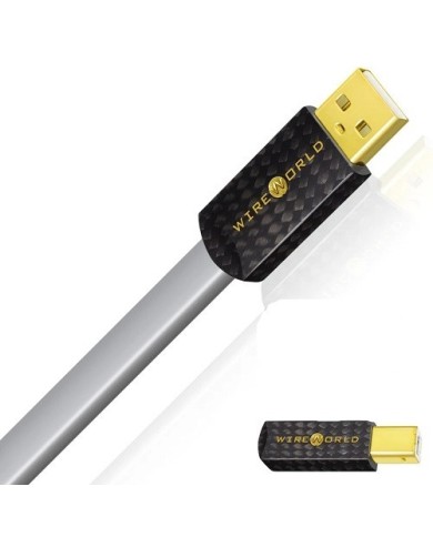 Cavo USB conduttori argento  Wireworld PLATINUM STARLIGHT 8 USB 2.0 A-B