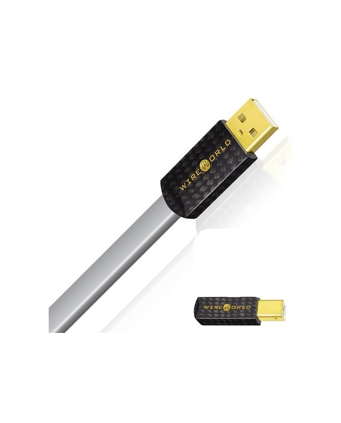 Cavo USB conduttori argento  Wireworld PLATINUM STARLIGHT 8 USB 2.0 A-B