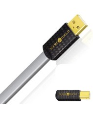 Cavo USB conduttori argento  Wireworld PLATINUM STARLIGHT 8 USB 2.0 A-B