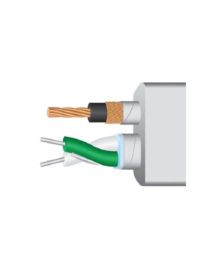 Cavo USB conduttori argento  Wireworld PLATINUM STARLIGHT 8 USB 2.0 A-B