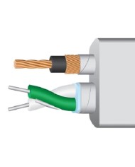 Cavo USB conduttori argento  Wireworld PLATINUM STARLIGHT 8 USB 2.0 A-B