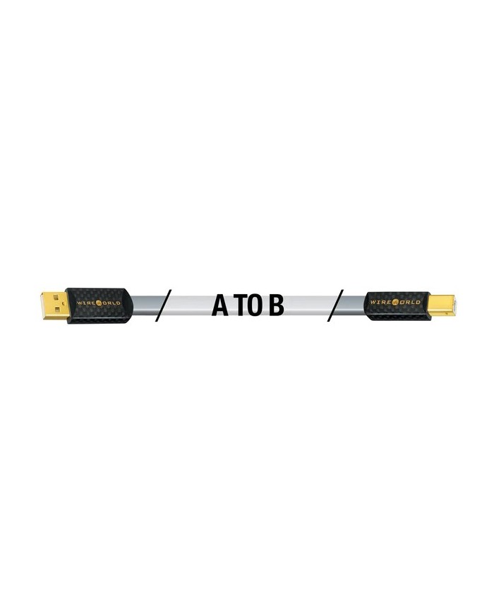 Cavo USB conduttori argento  Wireworld PLATINUM STARLIGHT 8 USB 2.0 A-B