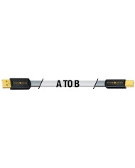 Cavo USB conduttori argento  Wireworld PLATINUM STARLIGHT 8 USB 2.0 A-B