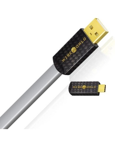 Cavo USB conduttori argento  Wireworld PLATINUM STARLIGHT 8 USB 2.0 C-A