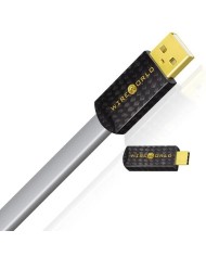 Cavo USB conduttori argento  Wireworld PLATINUM STARLIGHT 8 USB 2.0 C-A