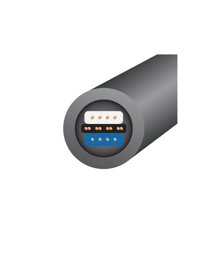 Cavo di segnale audio analogico stereo RCA-RCA  Wireworld EQUINOX 8