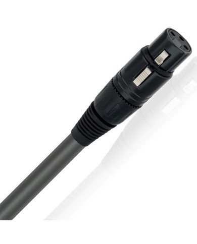 Cavo di segnale audio analogico stereo XLR-XLR  Wireworld EQUINOX 8
