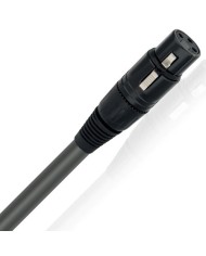 Cavo di segnale audio analogico stereo XLR-XLR  Wireworld EQUINOX 8