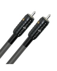 Cavo di segnale audio analogico stereo RCA-RCA  Wireworld EQUINOX 8