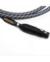 Cavo di segnale audio analogico XLR-XLR  Wireworld GOLD ECLIPSE 8