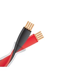 Cavo diffusori terminato banana o forcella  Wireworld HELICON 16 OFC