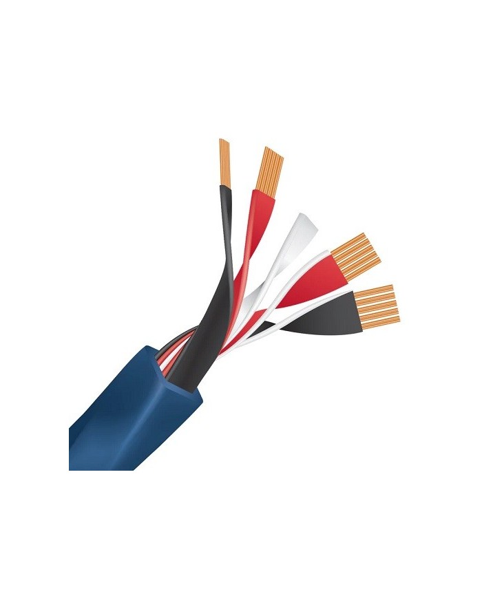 Cavo per diffusori terminato banana o forcella  Wireworld OASIS 8