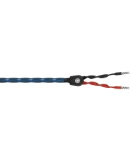 Cavo per diffusori terminato banana o forcella  Wireworld OASIS 8