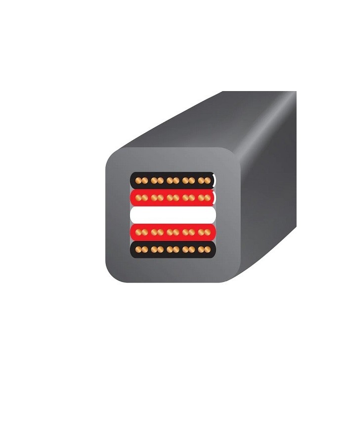 Cavo per diffusori terminato banana o forcella  Wireworld EQUINOX 8