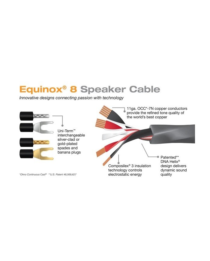 Cavo per diffusori terminato banana o forcella  Wireworld EQUINOX 8