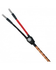 Cavo diffusori terminato banana o forcella  Wireworld MINI ECLIPSE 8