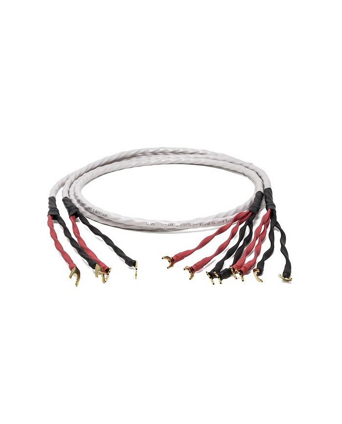 Cavo per diffusori terminato banana o forcella  Wireworld LUNA 8 BIWIRE