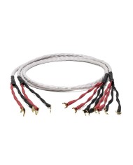 Cavo per diffusori terminato banana o forcella  Wireworld LUNA 8 BIWIRE