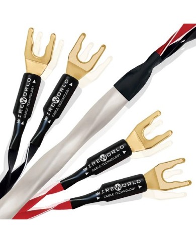 Cavo diffusori terminato banana o forcella  Wireworld SOLSTICE 8 BIWIRE