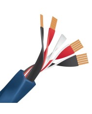 Cavo diffusori terminato banana o forcella  Wireworld OASIS 8 BIWIRE