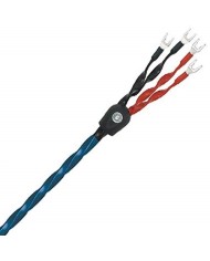 Cavo diffusori terminato banana o forcella  Wireworld OASIS 8 BIWIRE