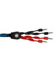 Cavo diffusori terminato banana o forcella  Wireworld OASIS 8 BIWIRE