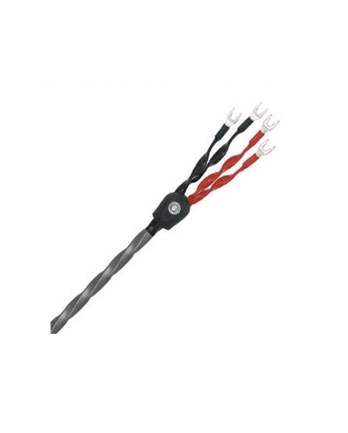 Cavo diffusori terminato banana o forcella  Wireworld EQUINOX 8 BIWIRE