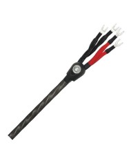 Cavo diffusori banana o forcella  Wireworld SILVER ECLIPSE 8 BIWIRE