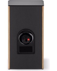 Diffusore da stand a 2 vie in bass-reflex Focal Aria Evo X N1 Walnut