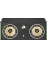 Diffusore canale centrale 2 vie  Focal Aria Evo X CENTER  Green