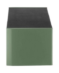 Diffusore canale centrale 2 vie  Focal Aria Evo X CENTER  Green