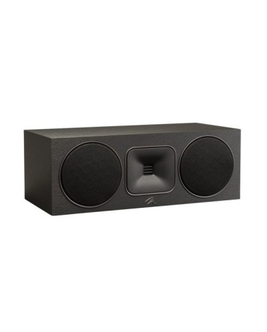 Diffusore centrale a 2 vie reflex Martin Logan Foundation C1 Black