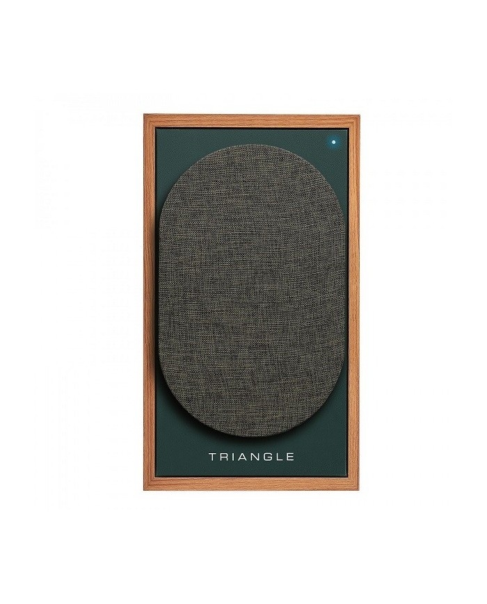 Diffusori attivi Bluetooth USB e HDMI ARC Triangle BOREA BR02 Oak Green