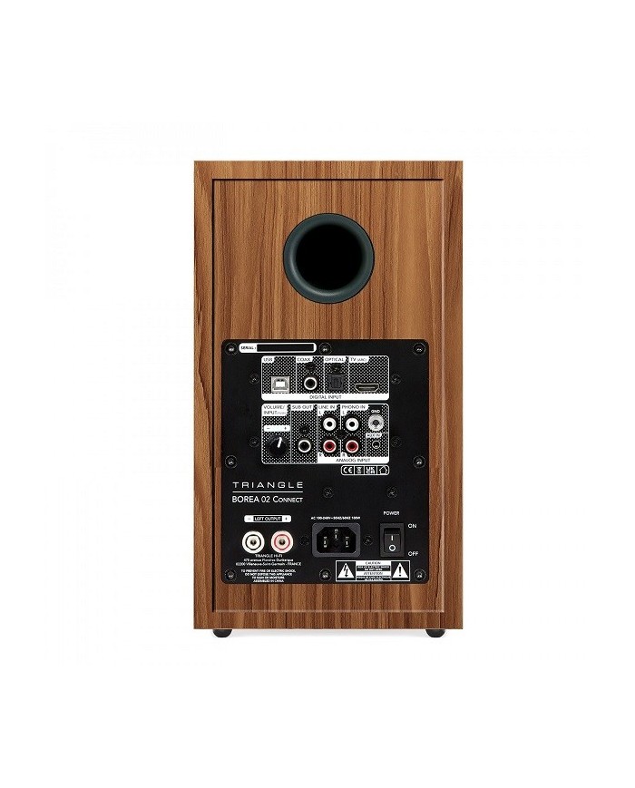 Diffusori attivi Bluetooth USB e HDMI ARC Triangle BOREA BR02 Oak Green