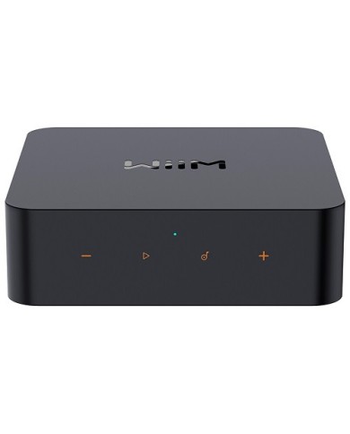 Network Audio Streamer di rete DAC AKM Wifi Bluetooth WiiM Pro Plus