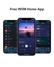 Network Audio Streamer di rete DAC AKM Wifi Bluetooth WiiM Pro Plus