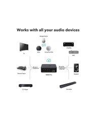 Network Audio Streamer di rete DAC AKM Wifi Bluetooth WiiM Pro Plus