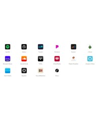 Network Audio Streamer di rete DAC AKM Wifi Bluetooth WiiM Pro Plus