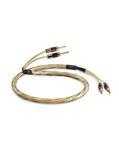 Cavo di potenza ed speciale 50th anniversary Qed Golden Anniversary XT