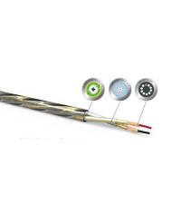 Cavo di potenza ed speciale 50th anniversary Qed Golden Anniversary XT