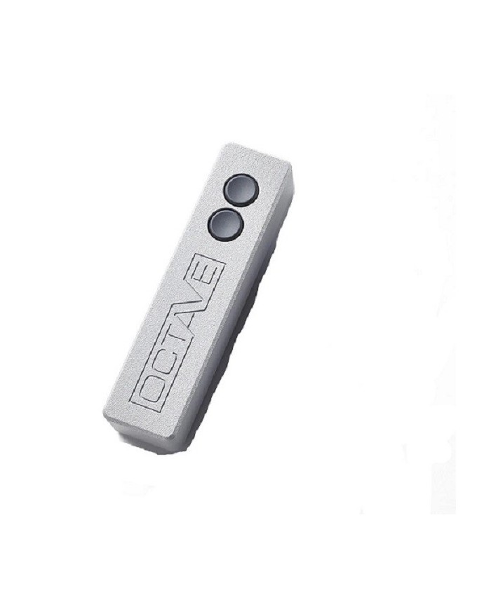 Amplificatore Integrato Stereo Valvolare Octave V40 SE Linea Silver