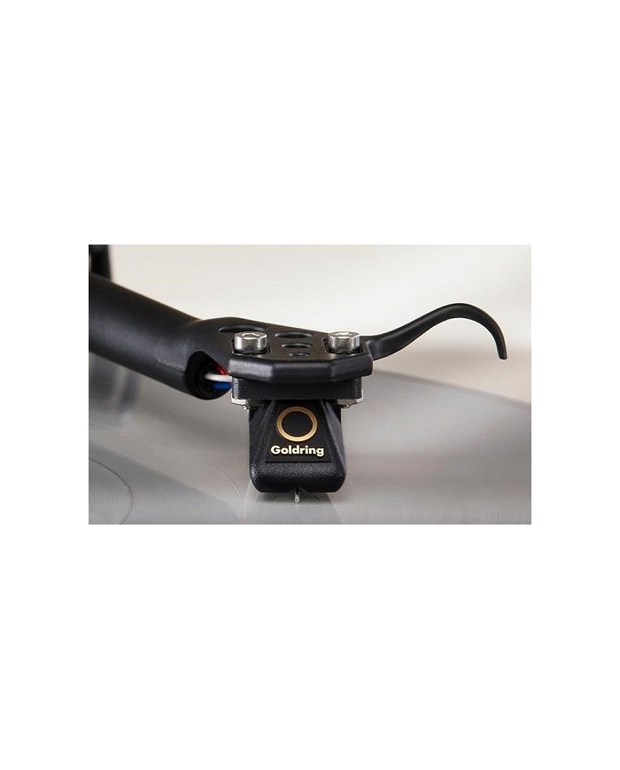 Testina MM con stilo ellittico in diamante nudo Goldring G 1022GX