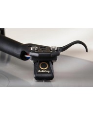 Testina MM con stilo ellittico in diamante nudo Goldring G 1022GX