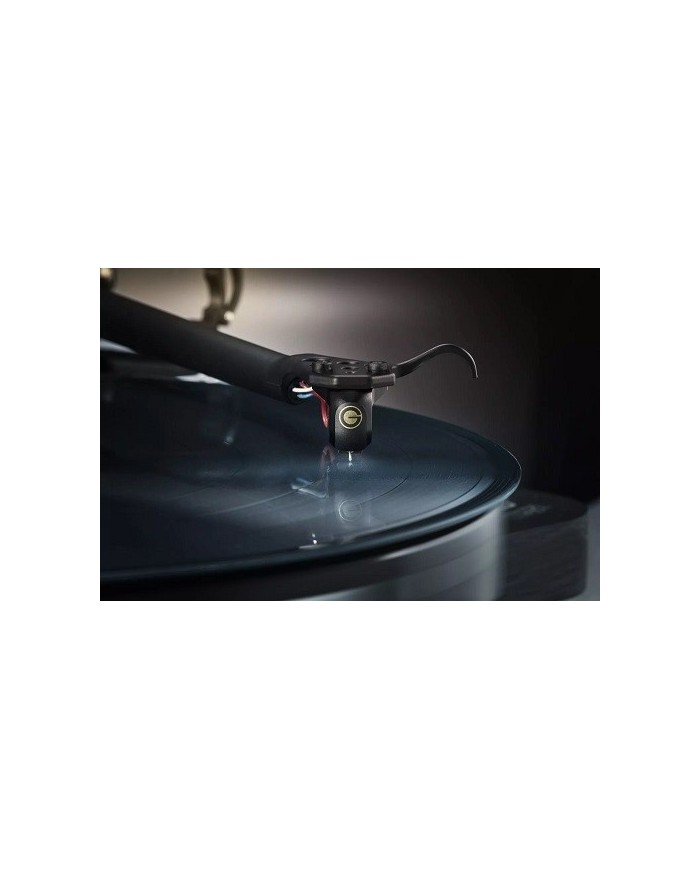 Testina MC Moving Coil con stilo sostituibile Goldring ETHOS SE