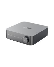 Network Audio Streamer con DAC Sabre 9018 Classe D WiiM Amp Space Grey