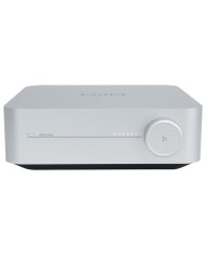 Network Audio Streamer con DAC Sabre ES9018 Classe D WiiM Amp Silver